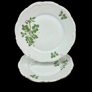 Vintage Mitterteich Bavaria Green Leaves 2 Dessert Plates Germany Gold Trim